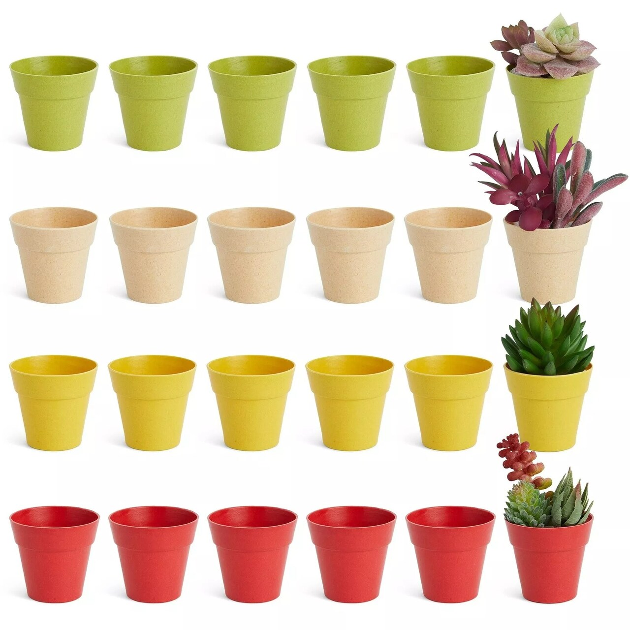 24 Pack Tiny Plastic Pots for Plants 1.5 Inch, Planters for Flowers, 4 Colors